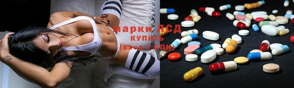 крисы Алзамай
