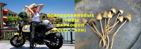 прущие грибы Алексин